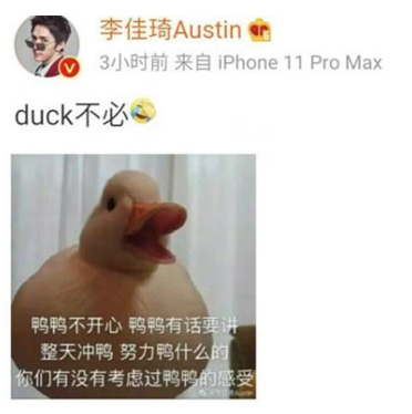 duck不必是什麽意思