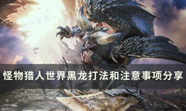 《怪物獵人世界》黑龍怎麽打？黑龍打法和注意事項分享