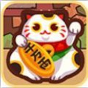 天天養貓貓