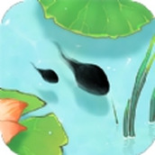 蝌蚪曆險記