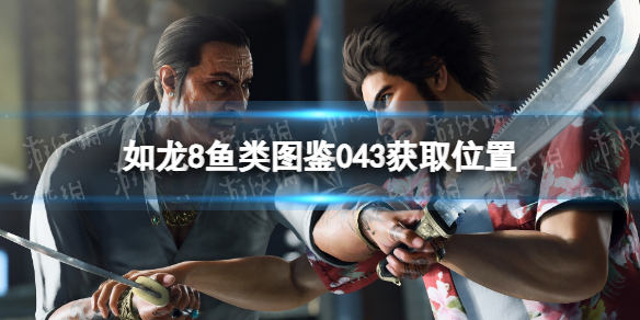如龍8魚類圖鑒043獲取位置詳情