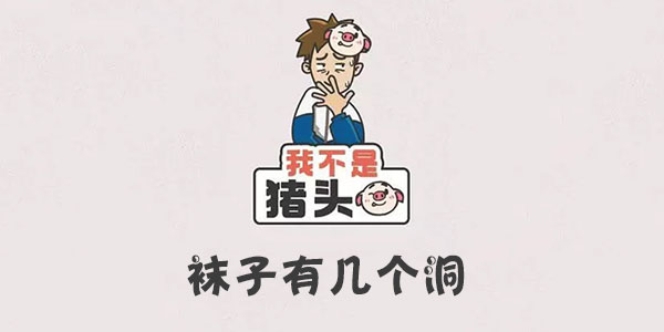 我不是豬頭襪子有幾個洞詳情