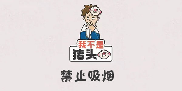 我不是豬頭禁止吸煙詳情