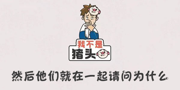 我不是豬頭然後他們就在一起請問爲什麽詳情