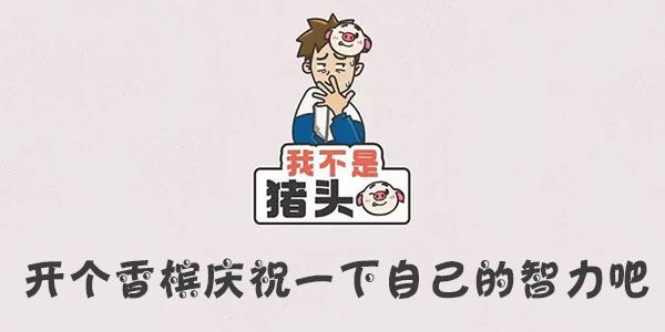 我不是豬頭開個香槟慶祝一下自己的智力吧詳情