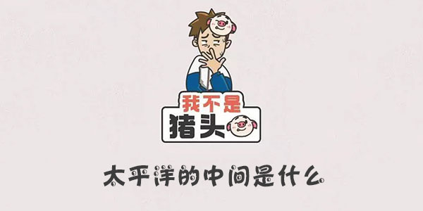 我不是豬頭太平洋的中間是什麽詳情