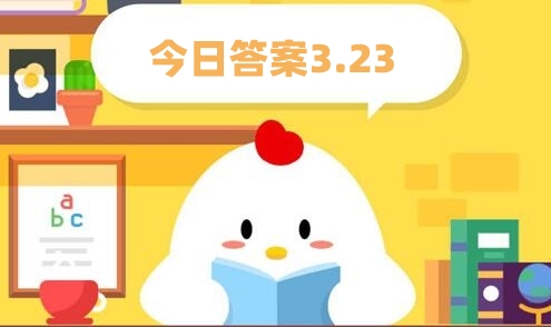 富貴竹是一種竹子嗎