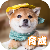 元氣小狗