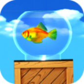 魚缸永不落地