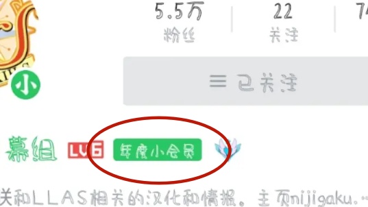 b站年度小會員一覽
