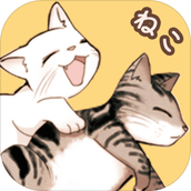 貓宅97
