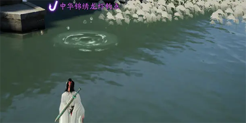 射雕魚餌在哪買