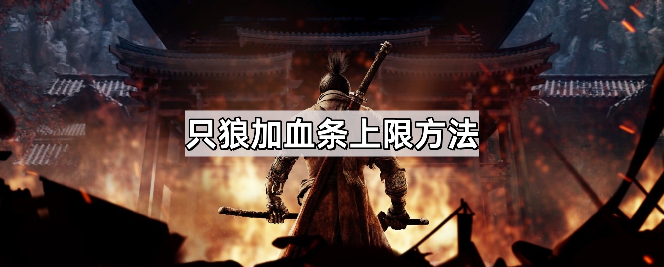 只狼如何加血條