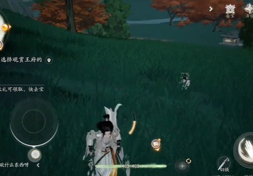 射雕手遊小師弟怎麽隱藏詳情