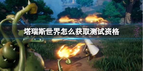 塔瑞斯世界測試資格獲取方法詳情