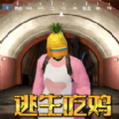 菠蘿頭吃雞最新版v1.0