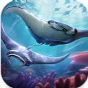 TopFish遊戲下載