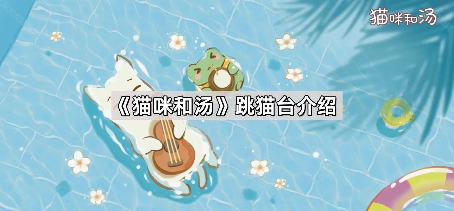 貓咪和湯跳貓台是什麽