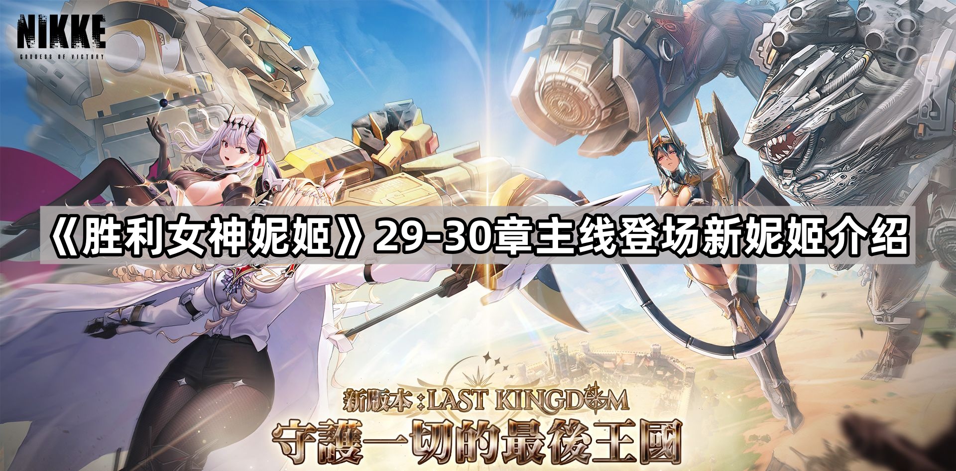 勝利女神妮姬29