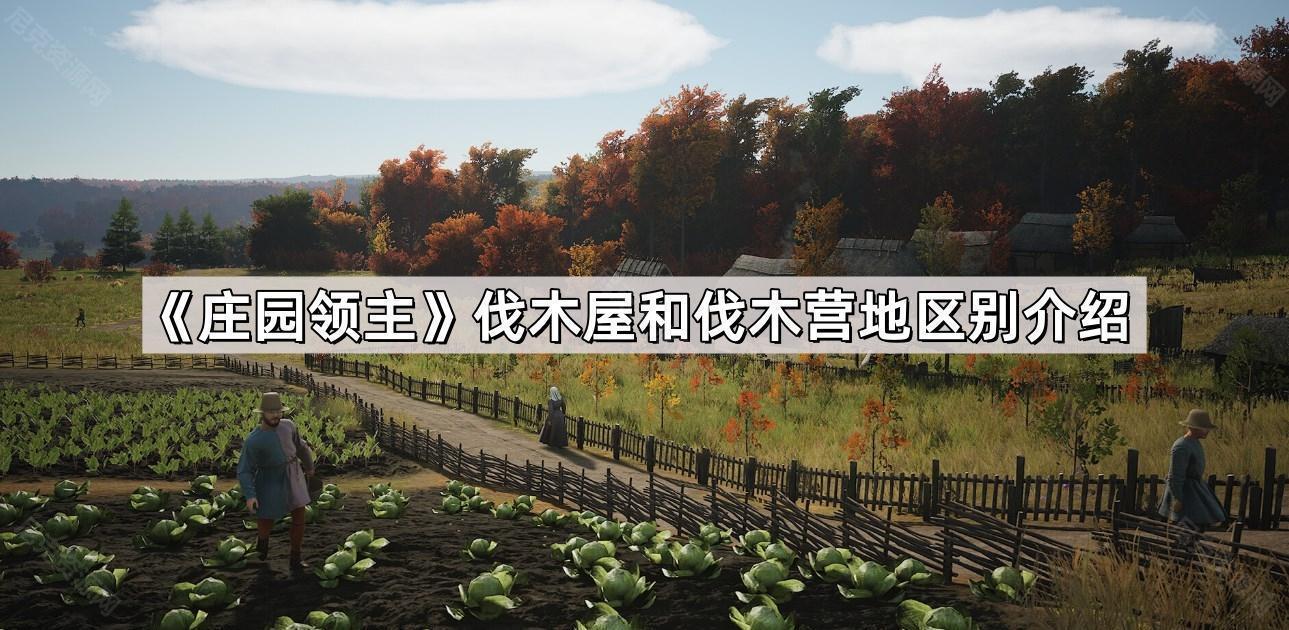 莊園領主伐木屋和伐木營地有什麽區別