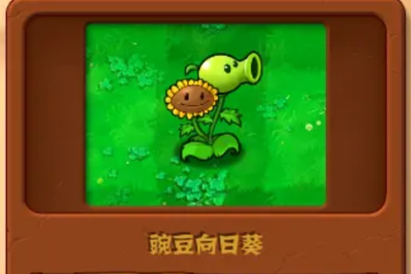 植物大戰僵屍雜交版植物圖鑒大全詳情