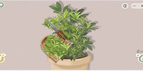 收納物語東方茶葉怎麽過