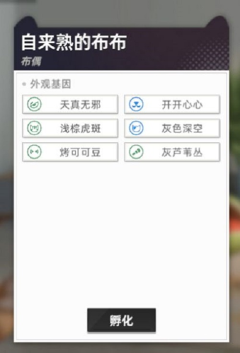 貓之城怎麽配貓
