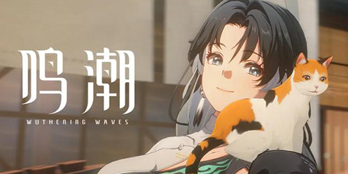 鳴潮節奏榜