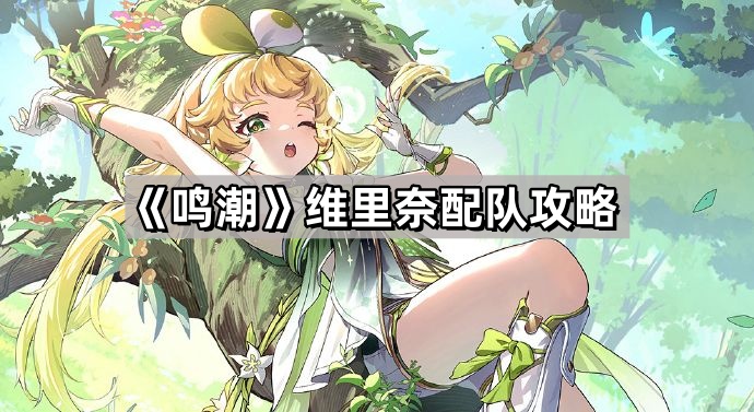 鳴潮維裏奈怎麽配隊