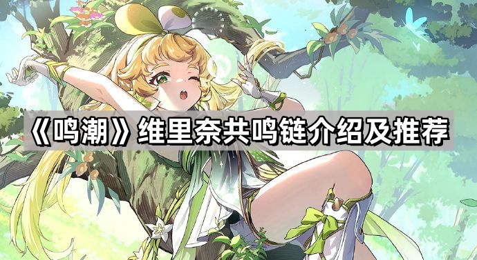 鳴潮維裏奈共鳴鏈怎麽升