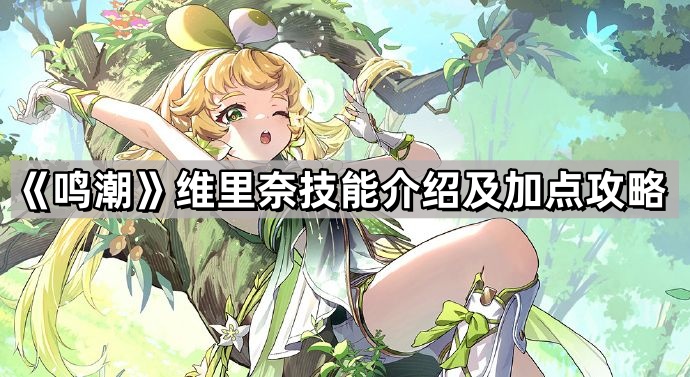 鳴潮維裏奈技能怎麽加點
