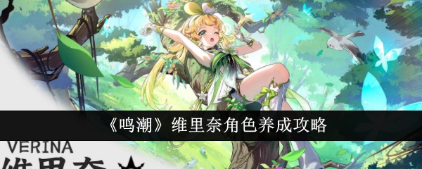 鳴潮維裏奈角色培養攻略