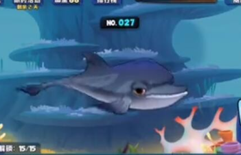 魚吃魚寬吻海豚屬性是什麽