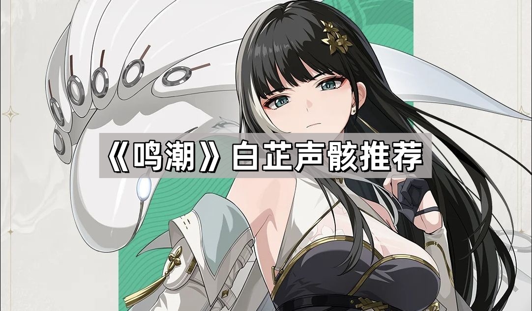 鳴潮白芷用什麽聲骸