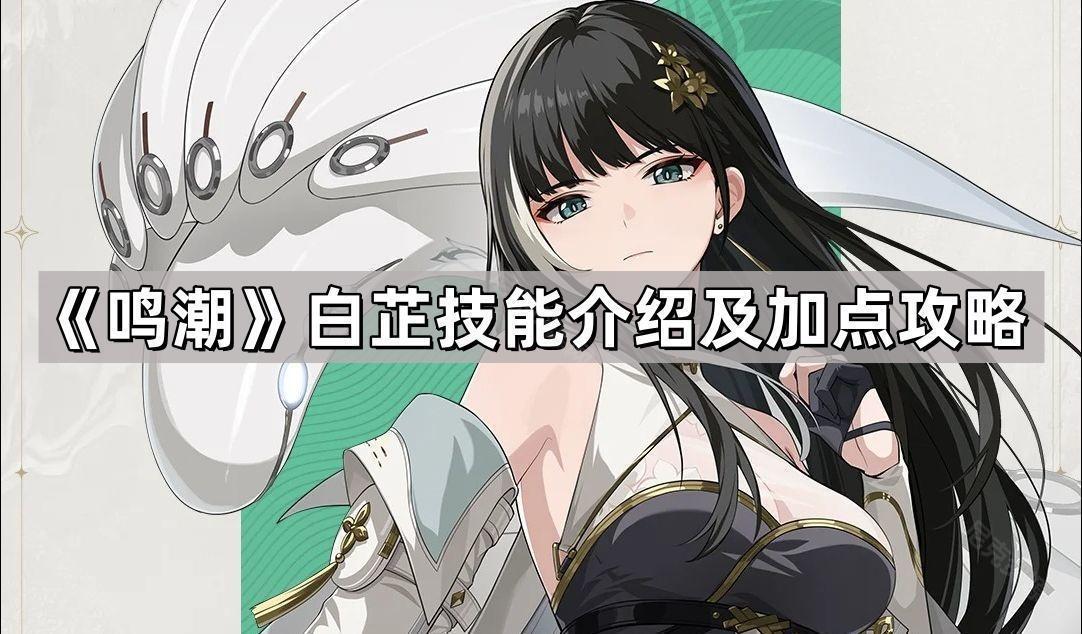 鳴潮白芷技能怎麽加點