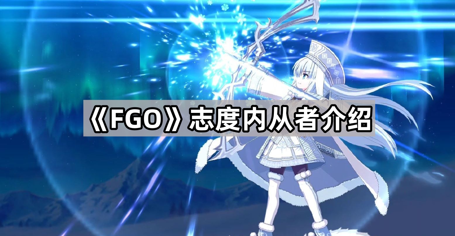 fgo志度內有什麽技能