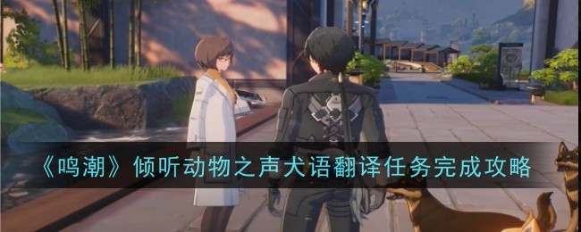 鳴潮傾聽動物之聲犬語翻譯任務攻略