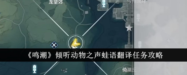 鳴潮傾聽動物之聲蛙語翻譯任務完成方法
