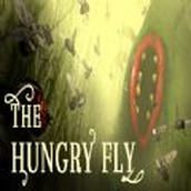 the hungry fly