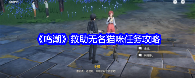 鳴潮救助無名貓咪任務怎麽完成