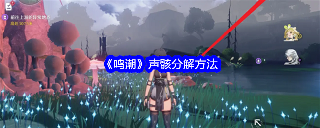 鳴潮聲骸怎麽分解