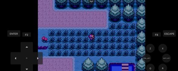 口袋妖怪鳳王在哪抓