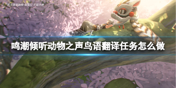 鳴潮鳥語翻譯任務攻略
