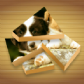 ArtBlockPuzzle遊戲下載