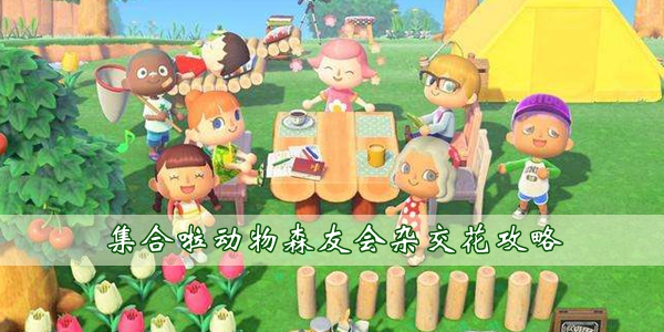 集合啦動物森友會怎麽雜交花朵