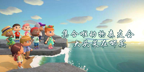 集合啦動物森友會大頭菜在哪買