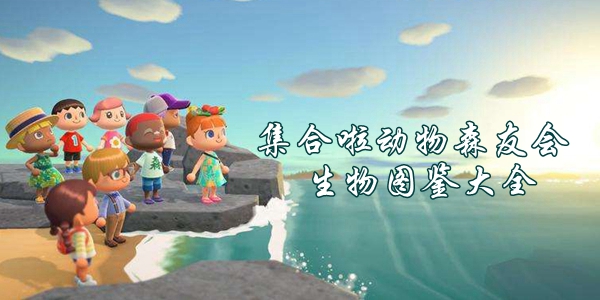集合啦動物森友會中有哪些生物