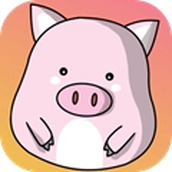 豬豬石頭碰