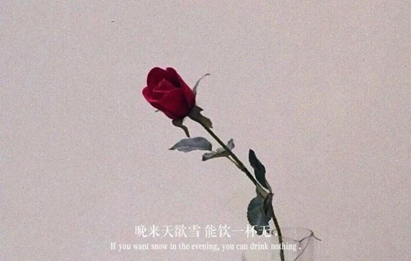 一個人久了突如其來的關心都是負擔圖片