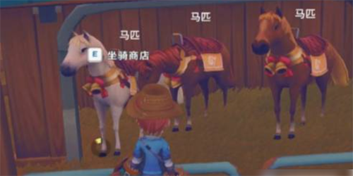 波西亞時光馬匹怎麽獲得